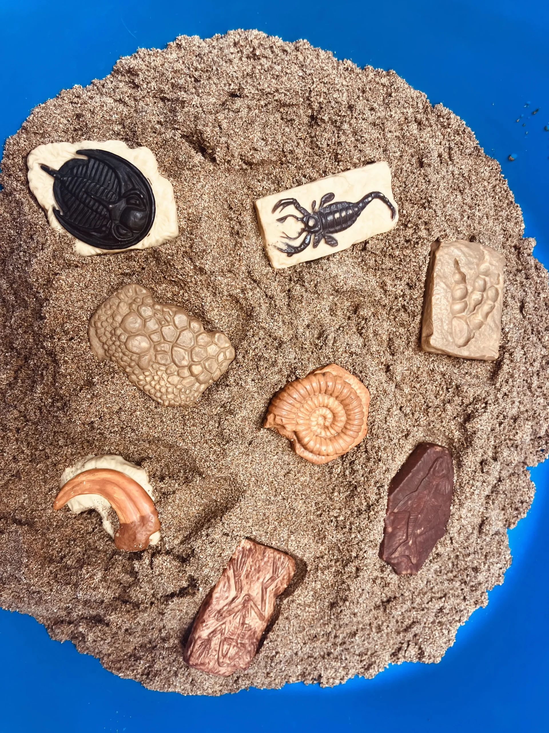 Fossils anciens