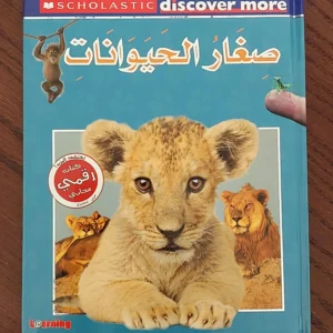صغار الحيوانات